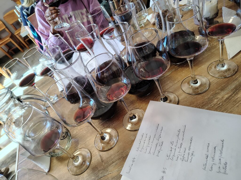 Catadevinos IMG 20250321 141147665 HDR 1024x768